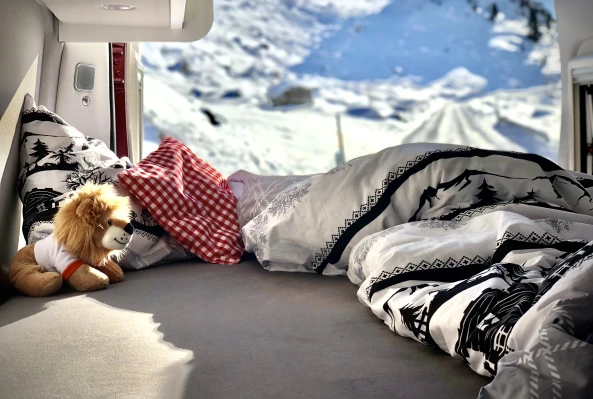 PAROZ AG-Kastenwagen-Campingbus-Umbau- Schweiz- Berge- Winter